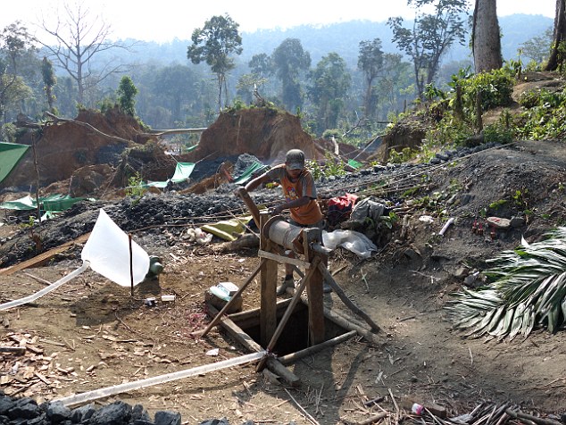 The insect was found encased in amber in a mine in the Kachin Province of northern Myanmar (shown above)